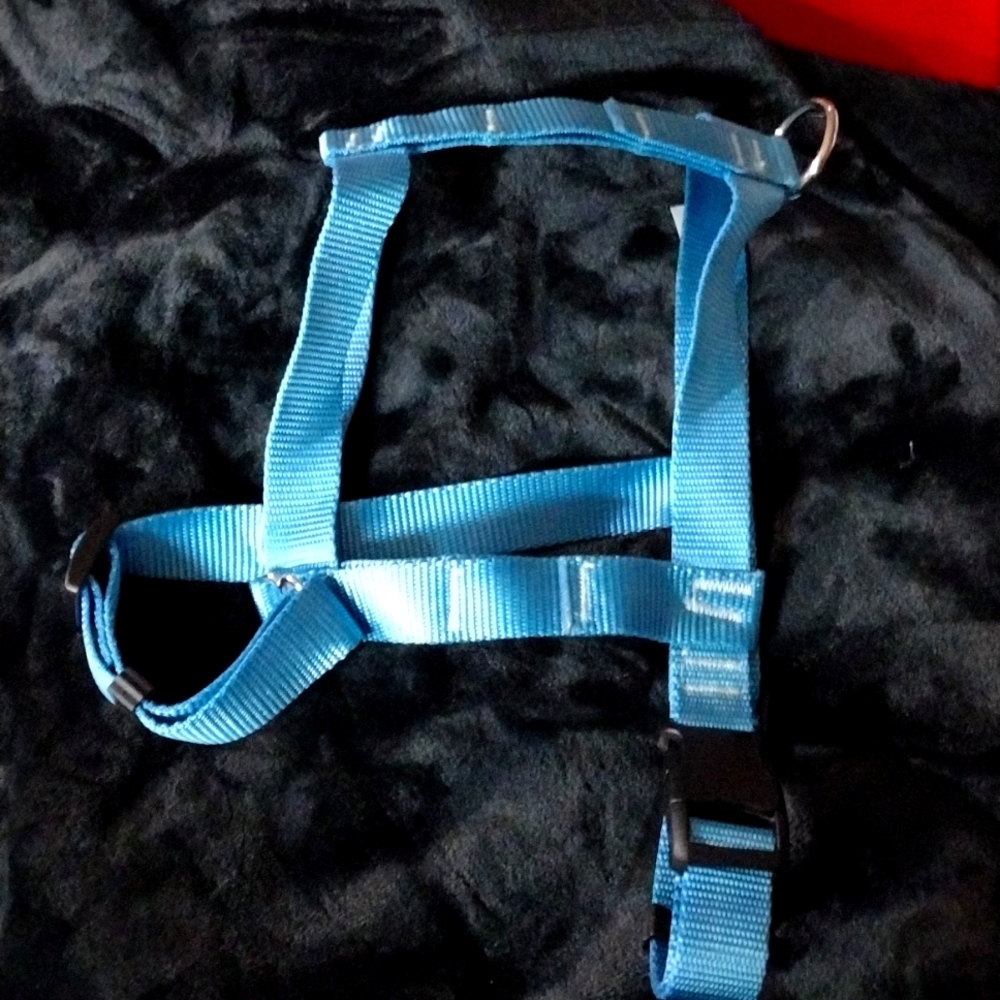 Easy on easy off dog harness with heavy duty nylon ice blue